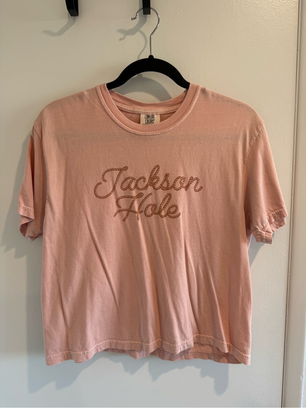 Comfort Colors Jackson Hole Pink Short Sleeve Tee